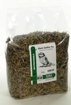 Black Soldier Fly 750 Gr