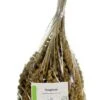 Trosgierst 1 Kg -Naturepavo Winkel 8715207901723 1
