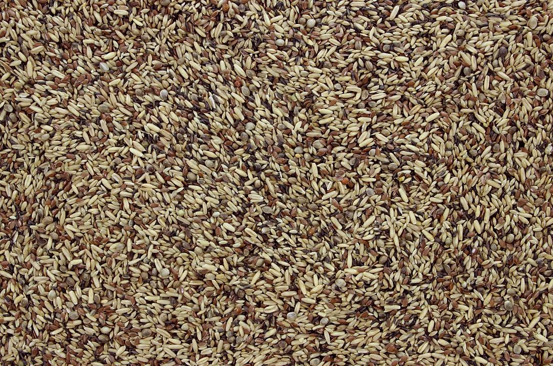 Wildzangzaad I 5 Kg 4 Wildzangzaad I 5 Kg - Afbeelding 2