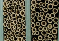 TRIXIE Bijenhotel 30 X 35 X 12 Cm -Naturepavo Winkel PHO PRO DET CLIP 59509 4 SALL APRKU V1